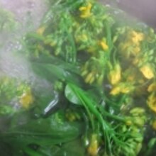 菜の花の辛し和え レシピ 作り方 By Iihi009 楽天レシピ 菜の花の辛し和え レシピ 作り方 By Iihi009 楽天レシピ